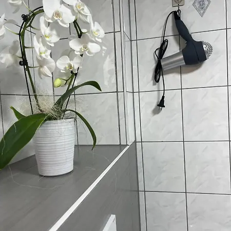 Апартаменты Haus Ema