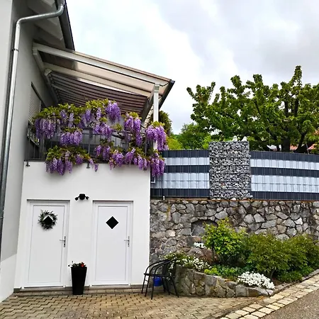 Апартаменты Haus Ema *